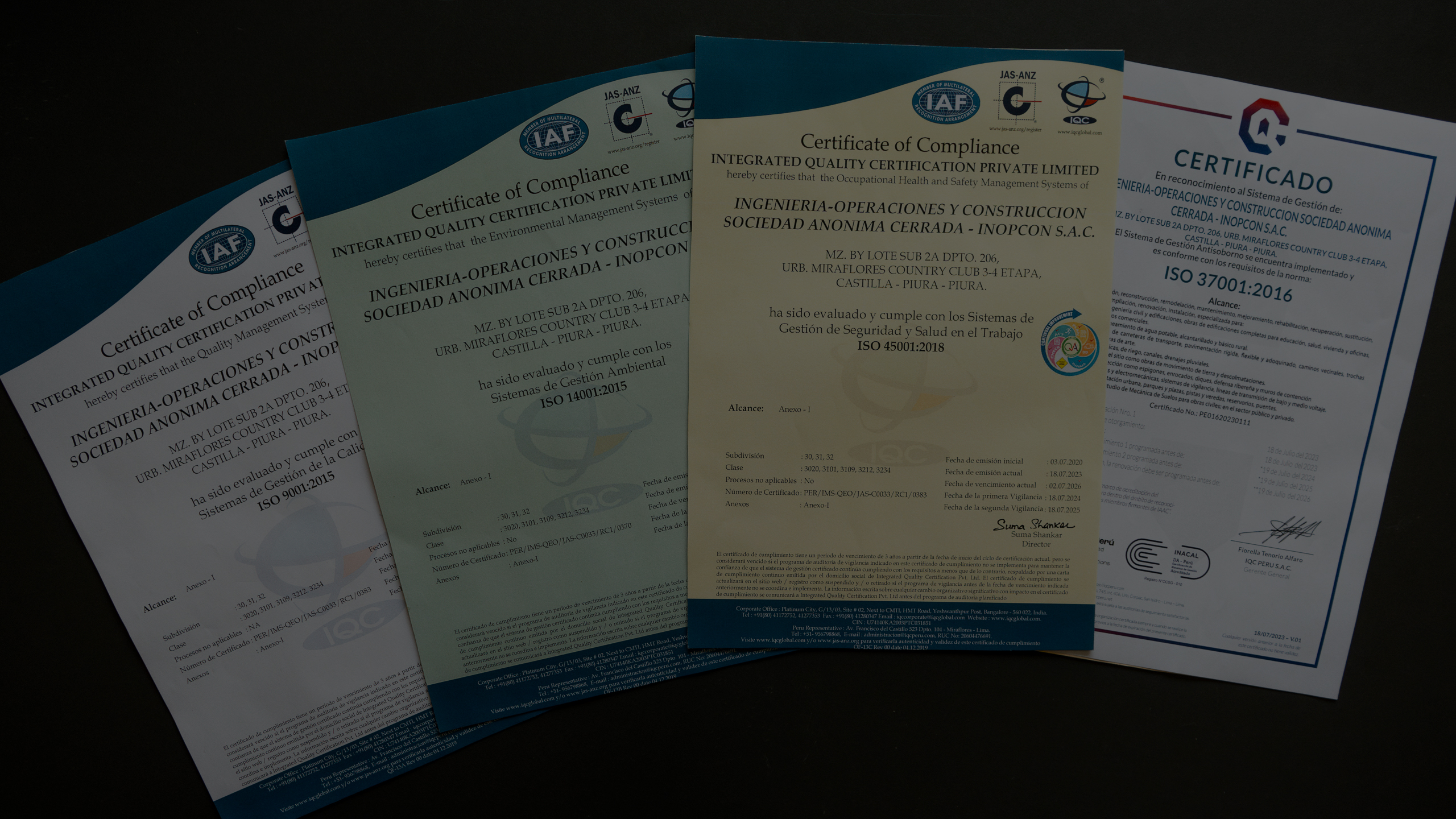 Descripción de la imagen